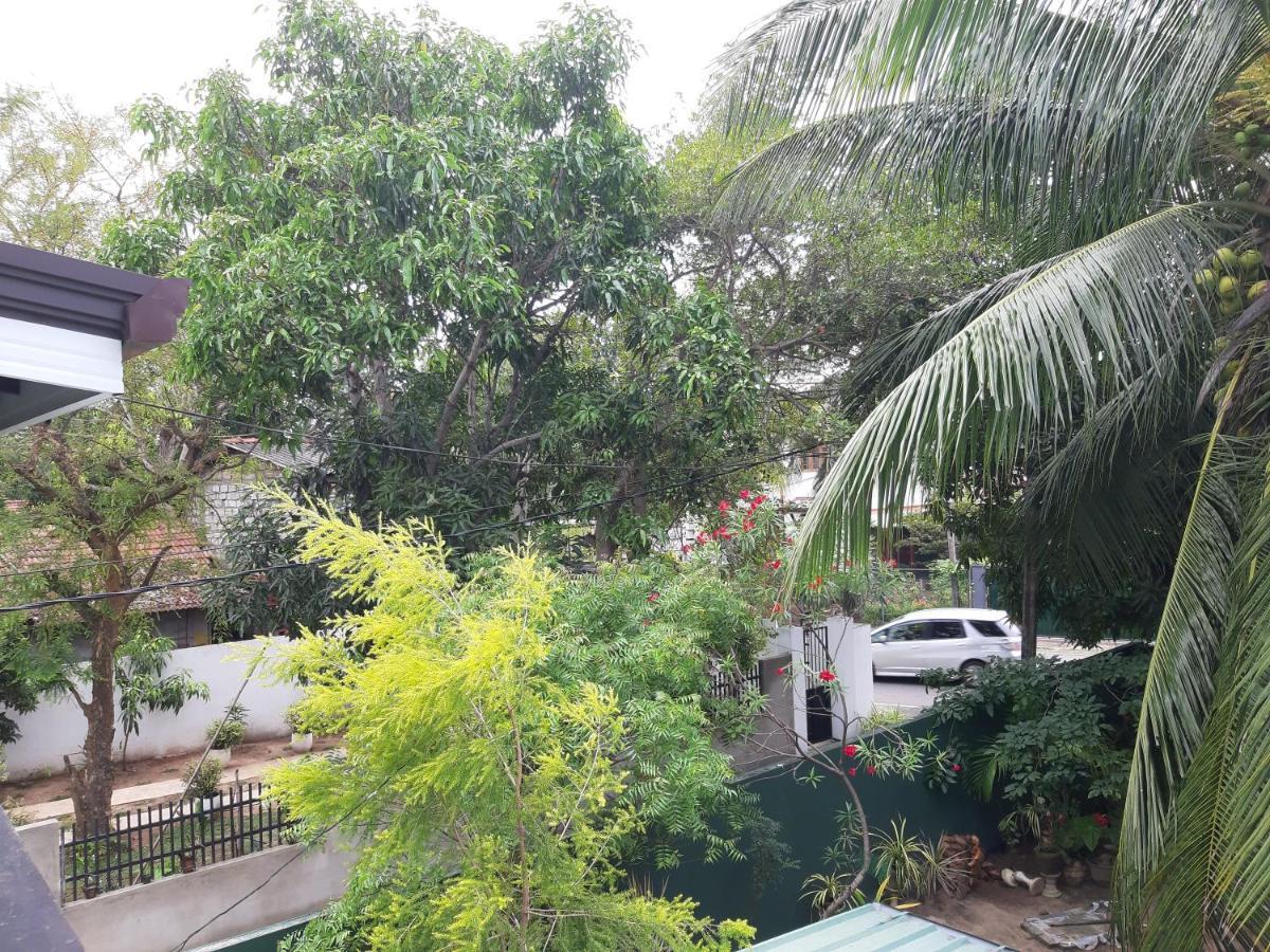 Hellen Homestay Negombo Zewnętrze zdjęcie