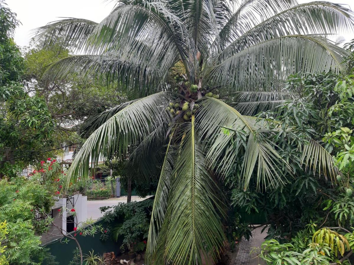 Hellen Homestay Negombo Zewnętrze zdjęcie